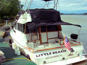 Aft bimini awning