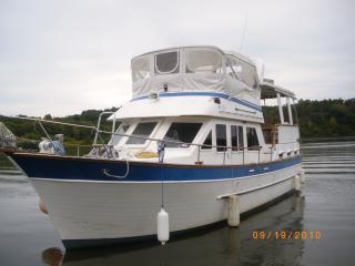 Fly bridge bimini
