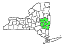 Mister Sew-n-Sew service area