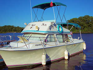 Bimini tops